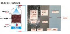 生物塔處理廢氣的機理